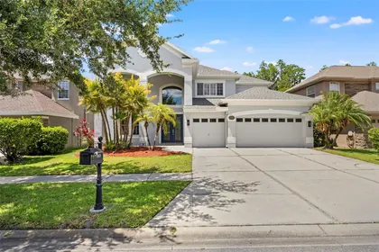 TAMPA FL Home