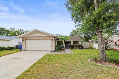 DUNEDIN FL Home