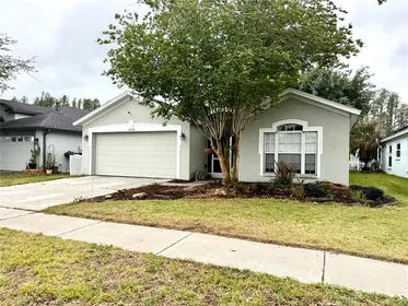 WESLEY CHAPEL FL Home