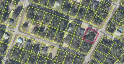 OCKLAWAHA FL Property