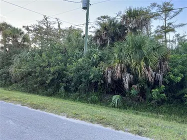 NAPLES FL Property