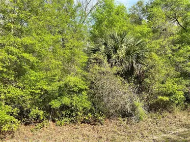 CHIEFLAND FL Property
