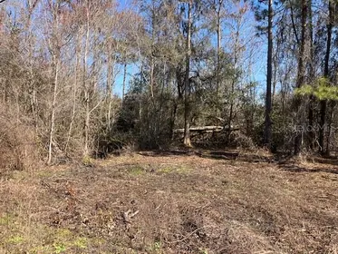 BUNNELL FL Property