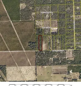FORT WHITE FL Property