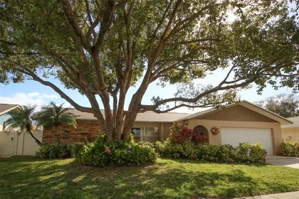 SAFETY HARBOR FL Home