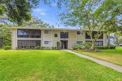 TEMPLE TERRACE FL Home