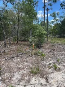 INTERLACHEN FL Property