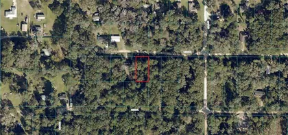 BELLEVIEW FL Property