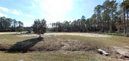 HASTINGS FL Property