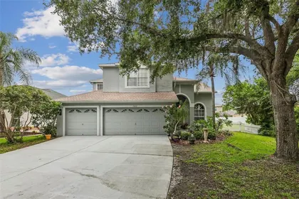 TAMPA FL Home