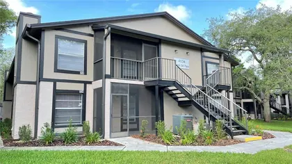 TAMPA FL Home