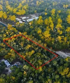 FORT MC COY FL Property
