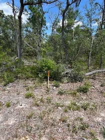 INTERLACHEN FL Property