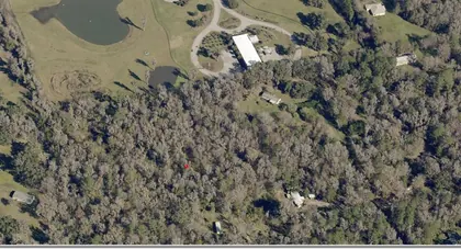 BELLEVIEW FL Property