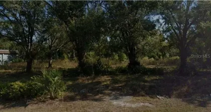 DADE CITY FL Property