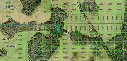 POLK CITY FL Property