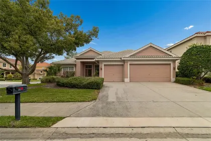 DUNEDIN FL Home