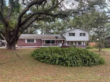 TEMPLE TERRACE FL Home