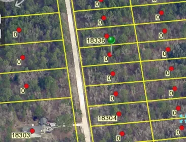 WEEKI WACHEE FL Property