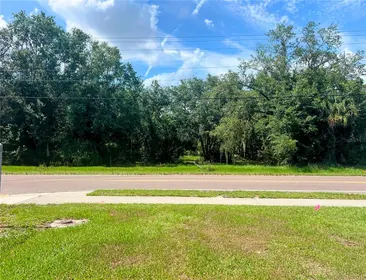 PLANT CITY FL Property