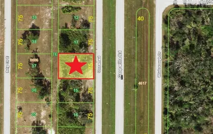 PLACIDA FL Property