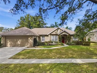 MOUNT DORA FL Home
