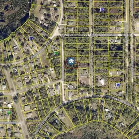 DELAND FL Property