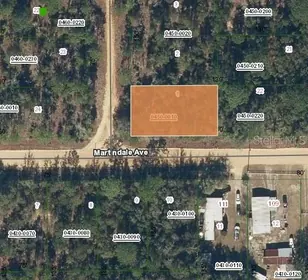 INTERLACHEN FL Property