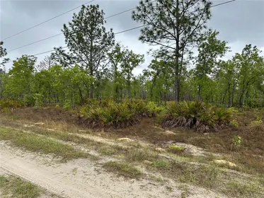 DUNNELLON FL Property