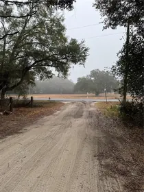 SUMTERVILLE FL Property