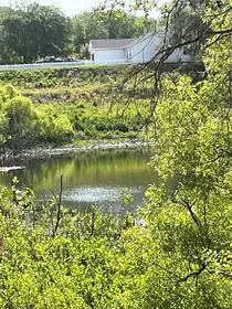 LADY LAKE FL Property