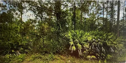 LEHIGH ACRES FL Property
