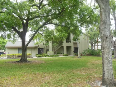 PALM HARBOR FL Home