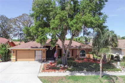 NEW PORT RICHEY FL Home