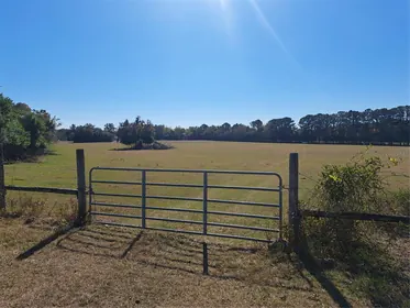 NEWBERRY FL Property