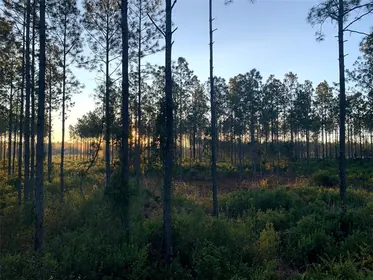 CHIEFLAND FL Property