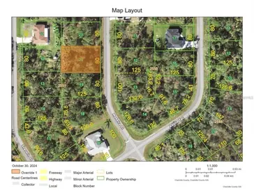 PORT CHARLOTTE FL Property