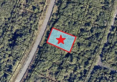 PALM BAY FL Property