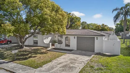 PORT RICHEY FL Home