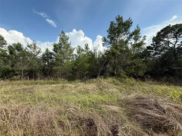 AVON PARK FL Property