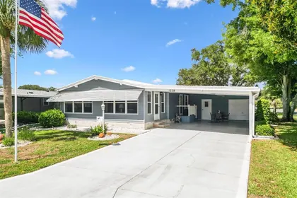 THE VILLAGES FL Home