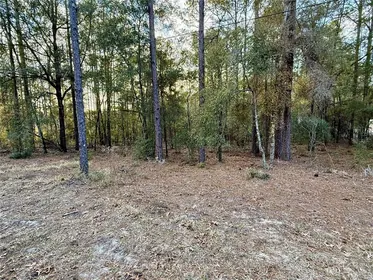 DUNNELLON FL Property