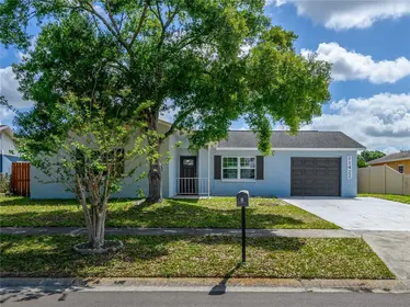 TAMPA FL Home