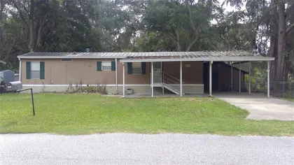 LAKE PANASOFFKEE FL Home
