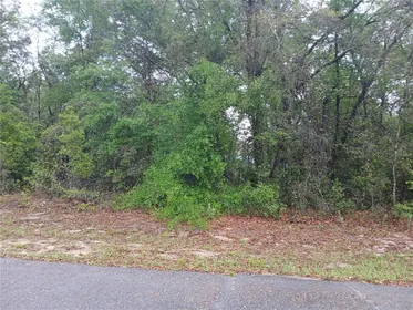 CITRUS SPRINGS FL Property