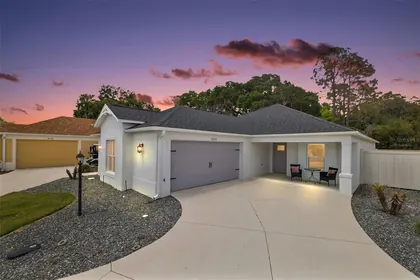 THE VILLAGES FL Home