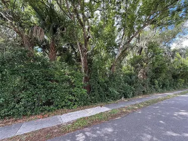 ZELLWOOD FL Property