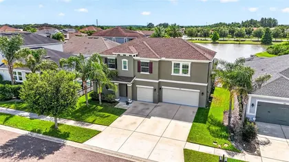 WESLEY CHAPEL FL Home