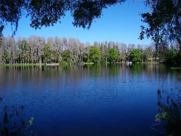 LUTZ FL Home
