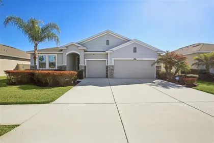 WESLEY CHAPEL FL Home